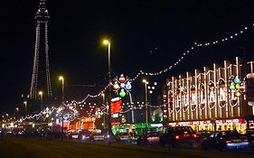 Seafront419 By Seafront Collection